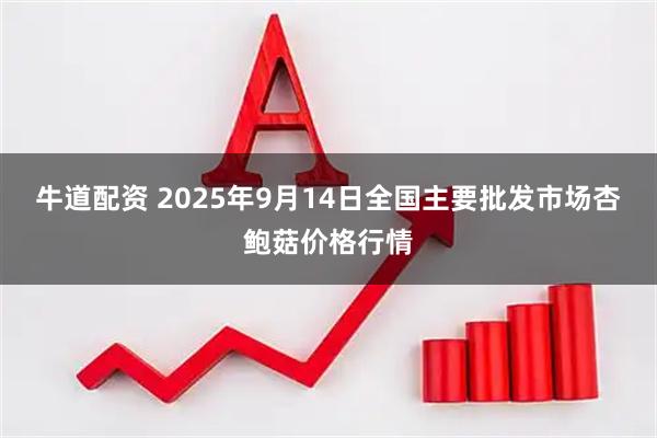 牛道配资 2025年9月14日全国主要批发市场杏鲍菇价格行情