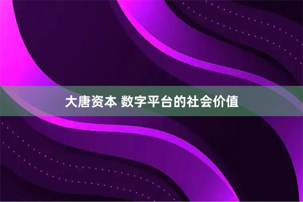 大唐资本 数字平台的社会价值