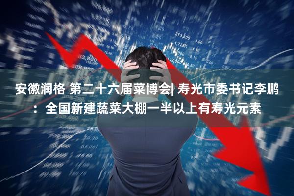 安徽润格 第二十六届菜博会| 寿光市委书记李鹏：全国新建蔬菜大棚一半以上有寿光元素