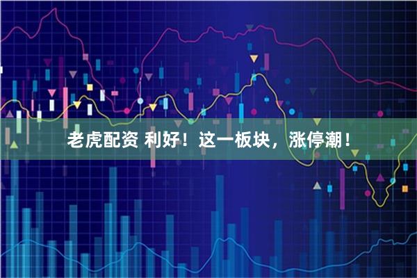 老虎配资 利好！这一板块，涨停潮！