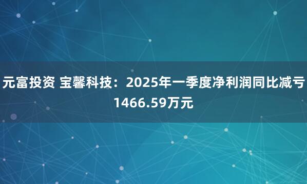 元富投资 宝馨科技：2025年一季度净利润同比减亏1466.59万元