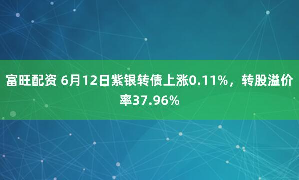 富旺配资 6月12日紫银转债上涨0.11%，转股溢价率37.96%