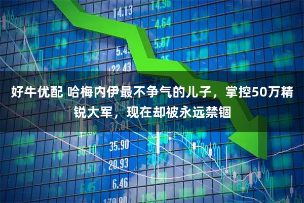 好牛优配 哈梅内伊最不争气的儿子，掌控50万精锐大军，现在却被永远禁锢