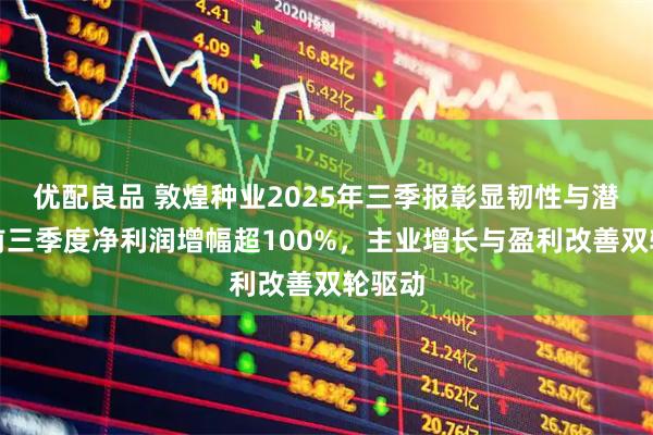 优配良品 敦煌种业2025年三季报彰显韧性与潜力，前三季度净利润增幅超100%，主业增长与盈利改善双轮驱动